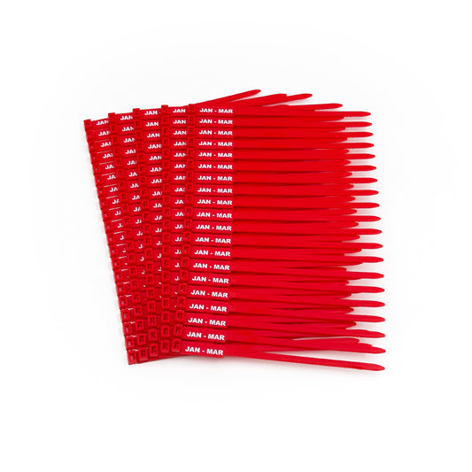 Jtagz RigTag 175mm - Quarterly Months - (100 pack)