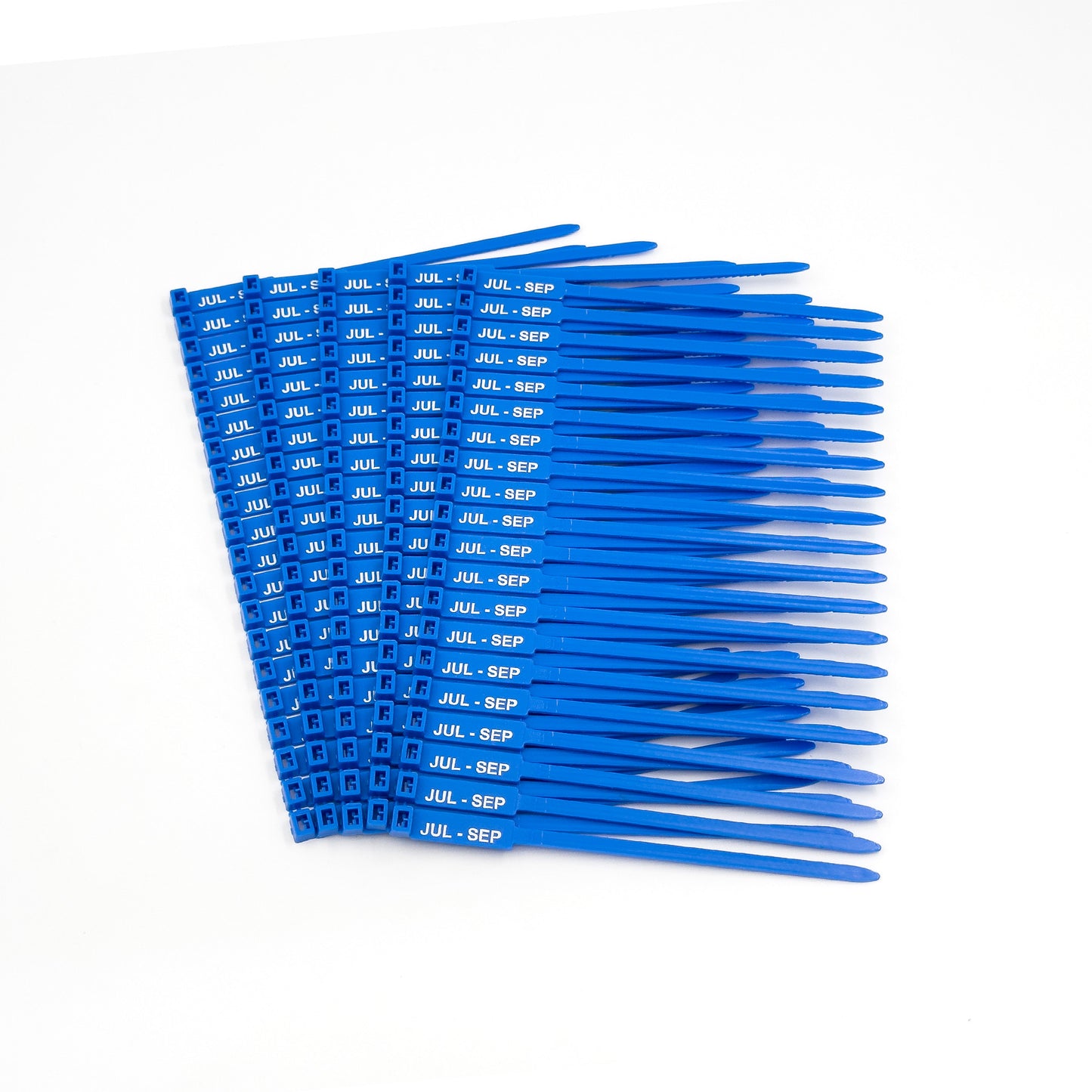 Jtagz RigTag 175mm - Quarterly Months - (100 pack)